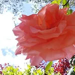 Farmház Il Poggio Al Sole