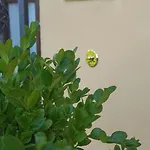 Il Poggio Al Sole
