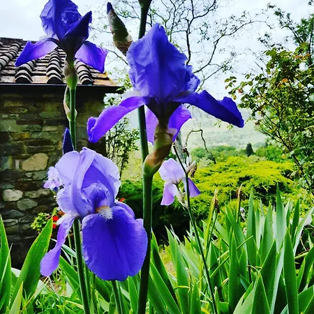 Vakantieboerderij Il Poggio Al Sole Fiesole