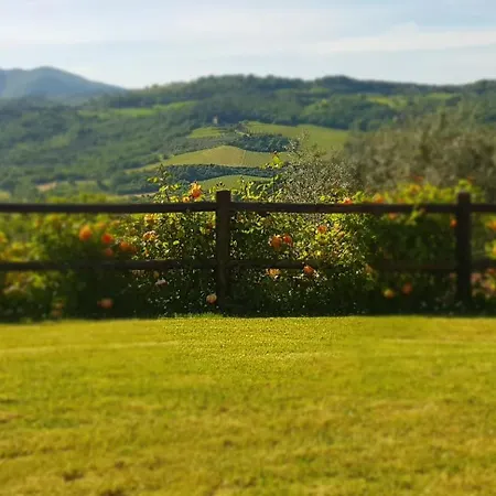 Il Poggio Al Sole * Fiesole