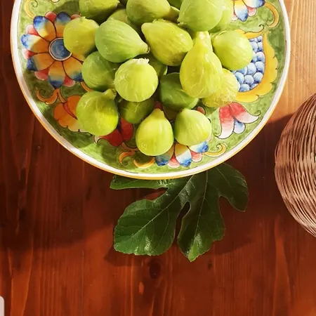 Il Poggio Al Sole *
