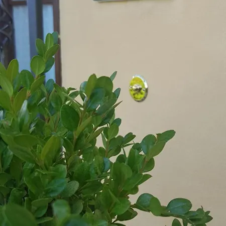 Il Poggio Al Sole